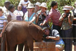 Daphne Sheldrick's Elephant Orphanage