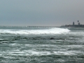 l1000596