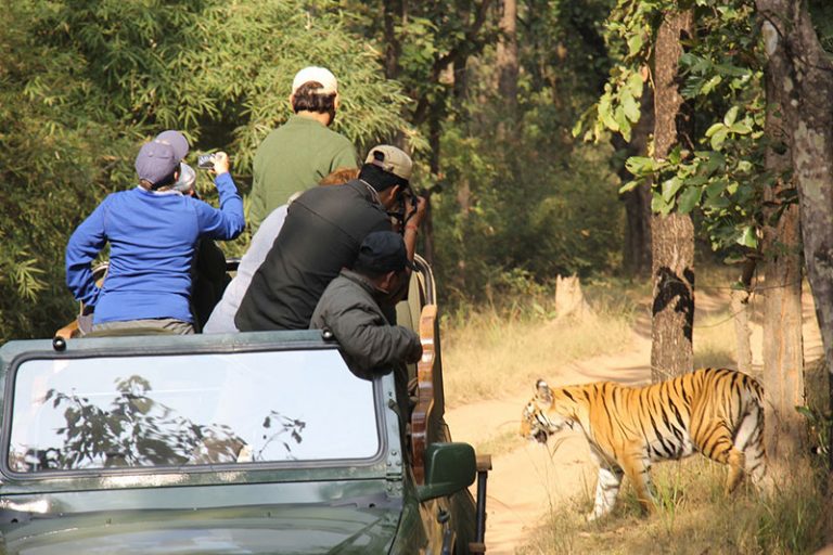 What Our Guests Say Nature Encounters Tours & Travel