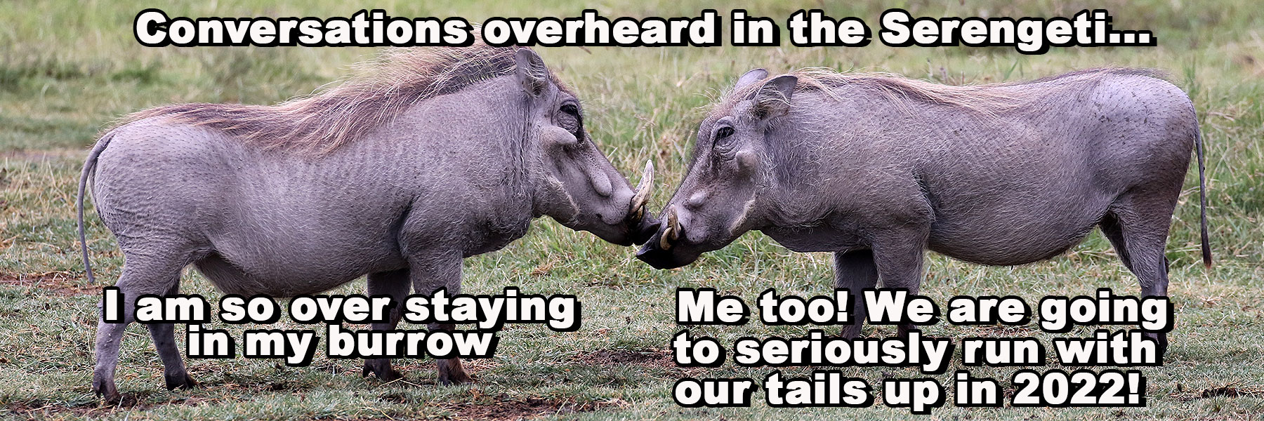 Small Group Tours Nature Encounters Tours & Travel