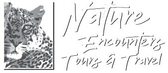 Nature Encounters Tours & Travel